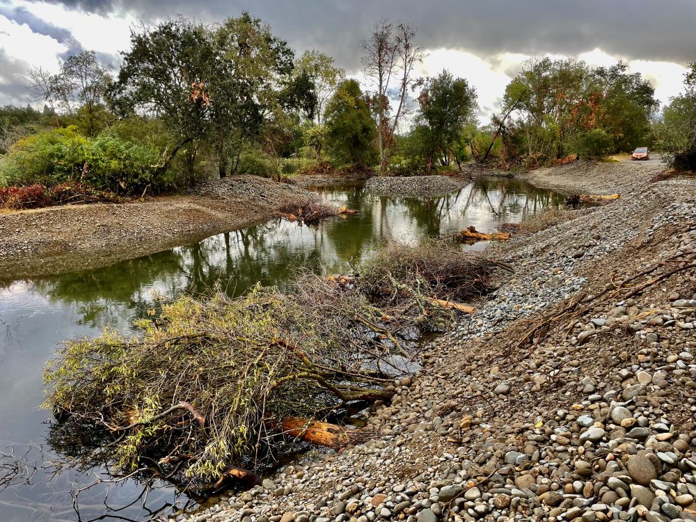 Chinook salmon habitat restoration 